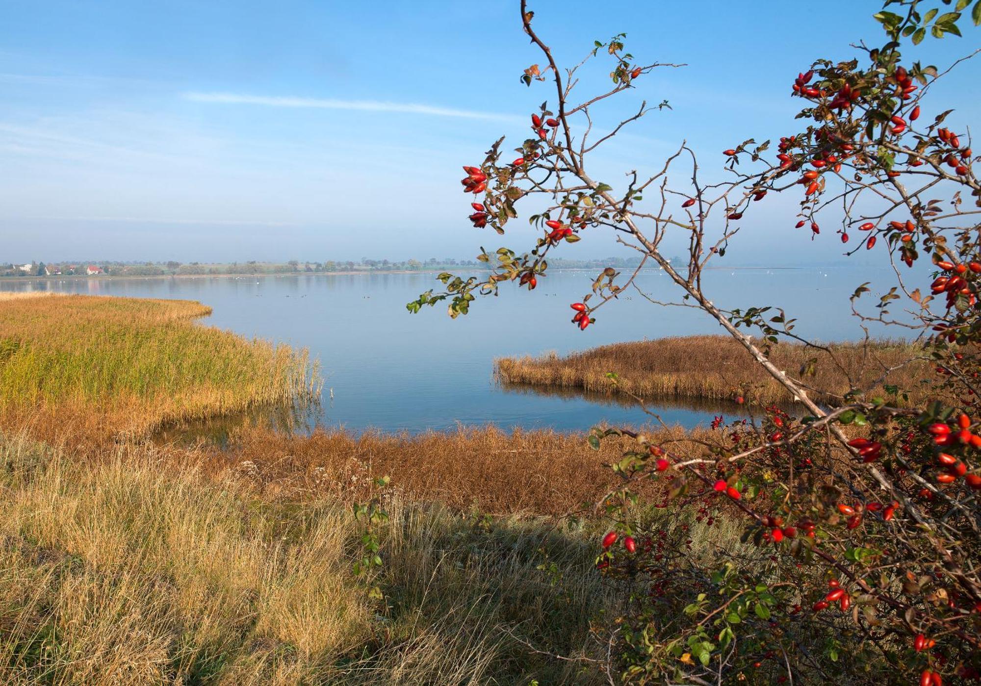 Apartmán Gaude Tiet Insel Poel Exteriér fotografie