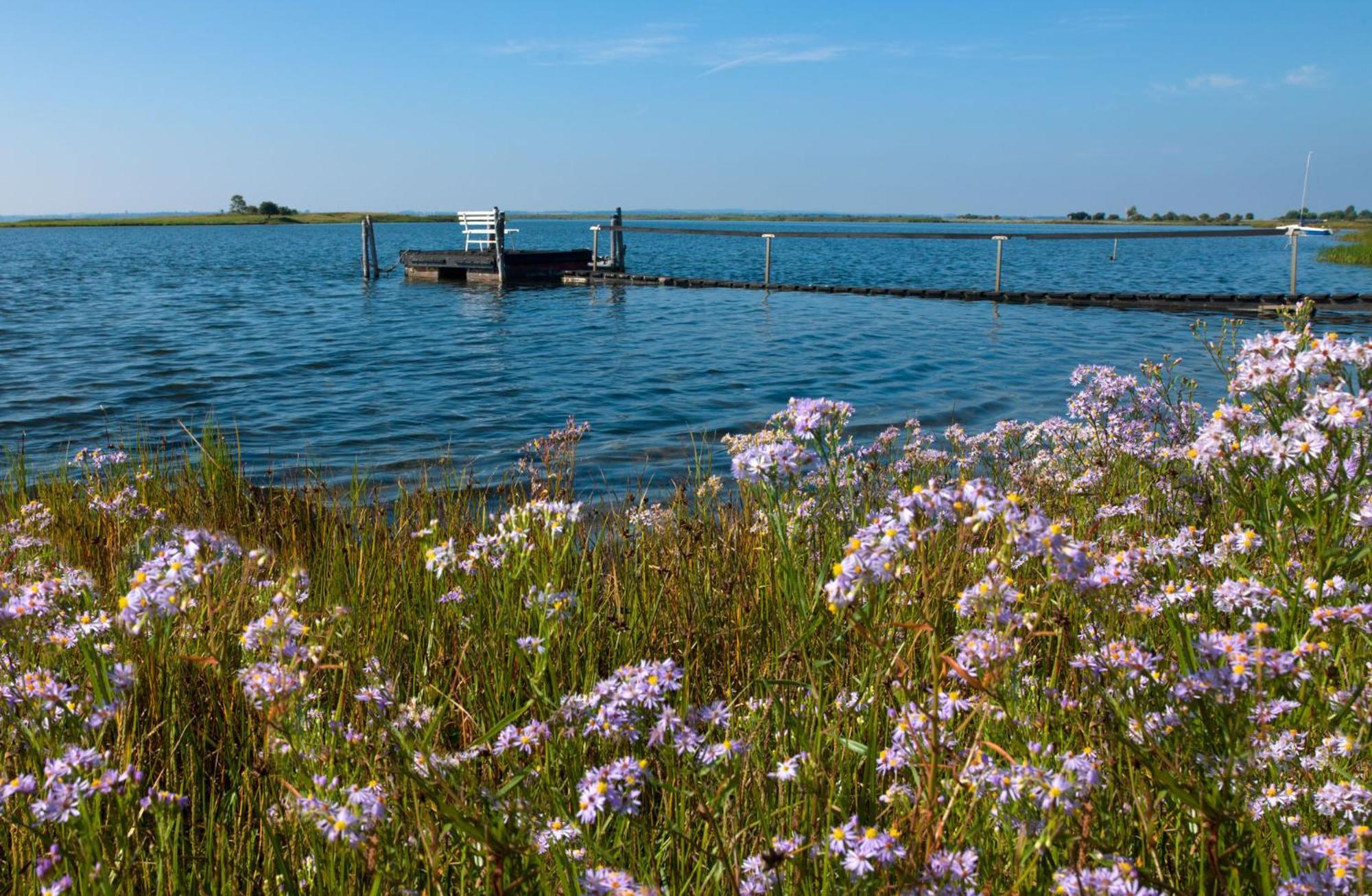 Apartmán Gaude Tiet Insel Poel Exteriér fotografie