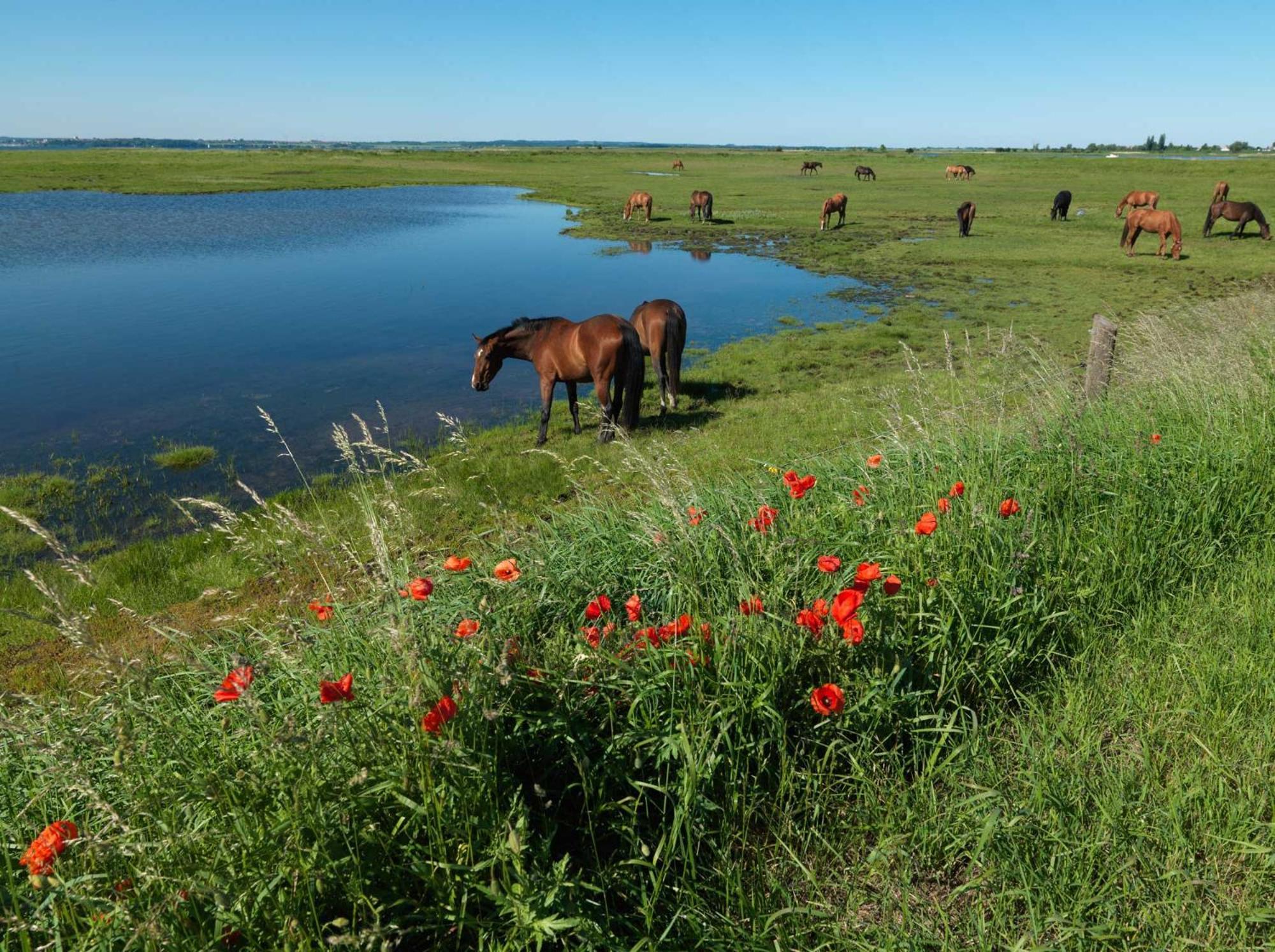 Apartmán Gaude Tiet Insel Poel Exteriér fotografie