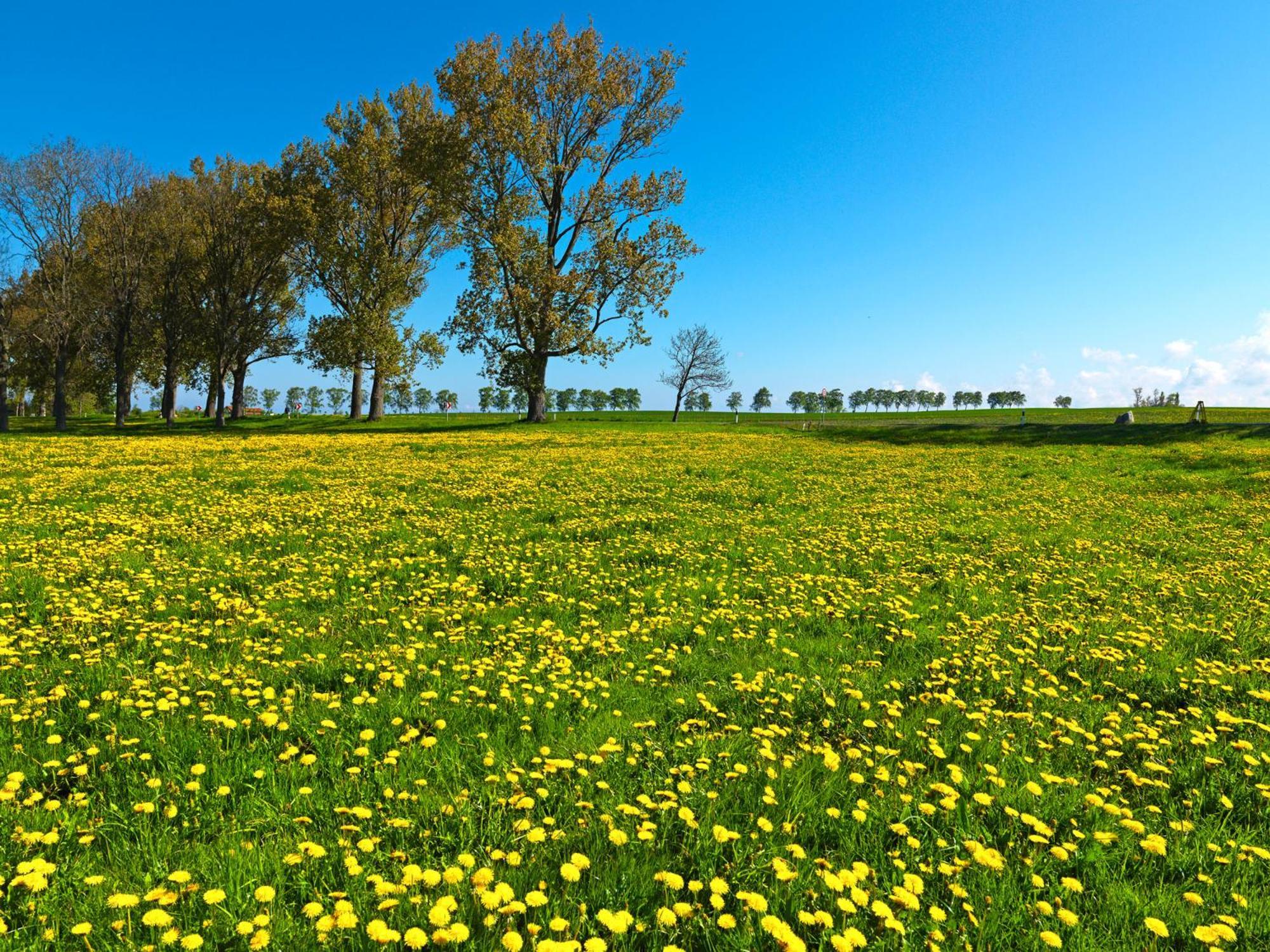 Apartmán Gaude Tiet Insel Poel Exteriér fotografie